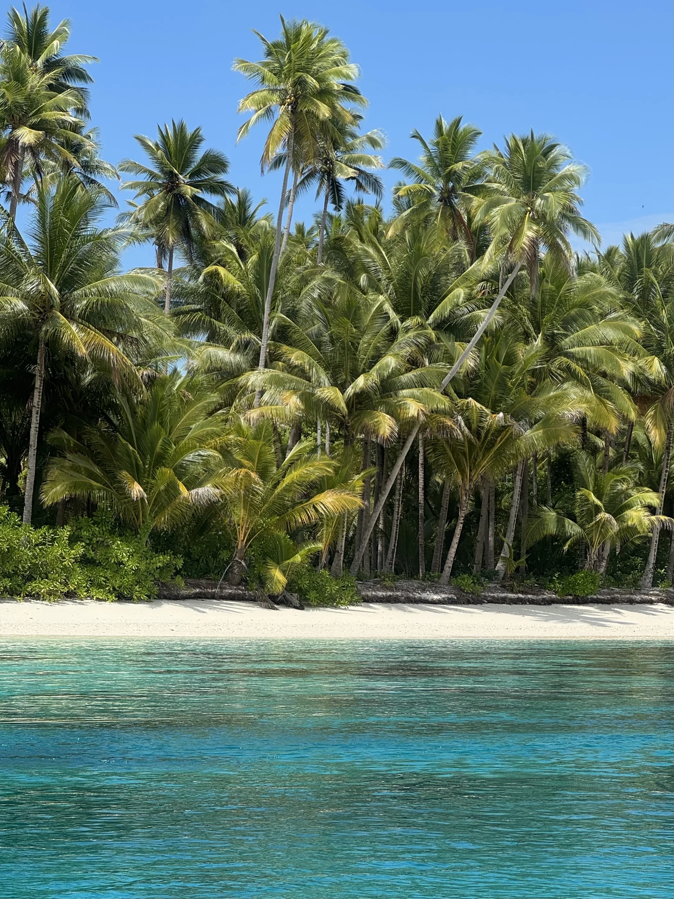 Coastal Indonesia and remote tropical islands